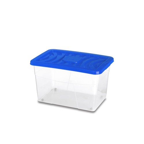 ΚΟΥΤΙ FAMILY BOX 60LT 58X39X35 ME ΡΟΔΕΣ