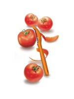 7.6075.9 ΞΕΦΛΟΥΔΙΣΤΗΡΙ VICTORINOX ΣΤΕΝΟ ΠΟΡΤΟΚΑΛΙ