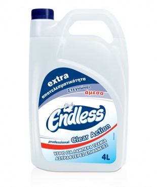 ΥΓΡΟ ΤΖΑΜΙΩΝ ENDLESS PROFESSIONAL 4lt