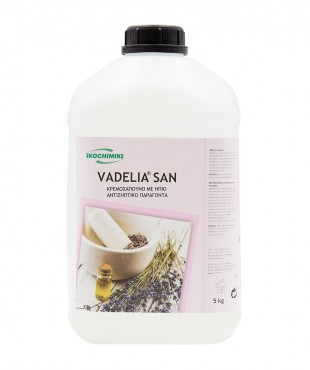 VADELIA SAN 5lt ΑΝΤΙΣΗΠΤΙΚΟ ΣΑΠΟΥΝΙ ΧΕΡΙΩΝ