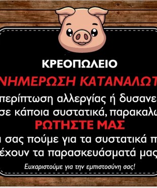 ΕΚΤΥΠΩΣΗ ΠΛΑΣΤΙΚΟΠΟΙΗΣΗ Α4 ΕΝΗΜΕΡΩΣΗ ΚΑΤΑΝΑΛΩΤΗ ΕΚΤΥΠΩΣΗ ΠΛΑΣΤΙΚΟΠΟΙΗΣΗ Α4 ΕΝΗΜΕΡΩΣΗ ΚΑΤΑΝΑΛΩΤΗ