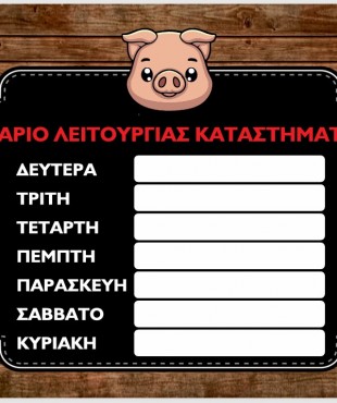 ΕΚΤΥΠΩΣΗ ΠΛΑΣΤΙΚΟΠΟΙΗΣΗ Α5 ΩΡΑΡΙΟ