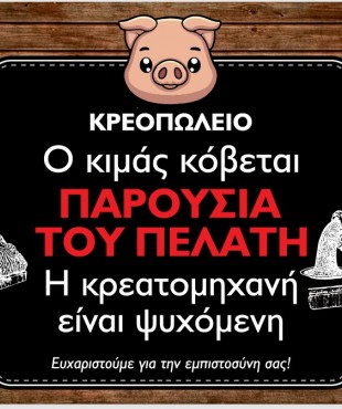 ΕΚΤΥΠΩΣΗ ΠΛΑΣΤΙΚΟΠΟΙΗΣΗ Α4 ΠΑΡΟΥΣΙΑ ΤΟΥ ΠΕΛΑΤΗ